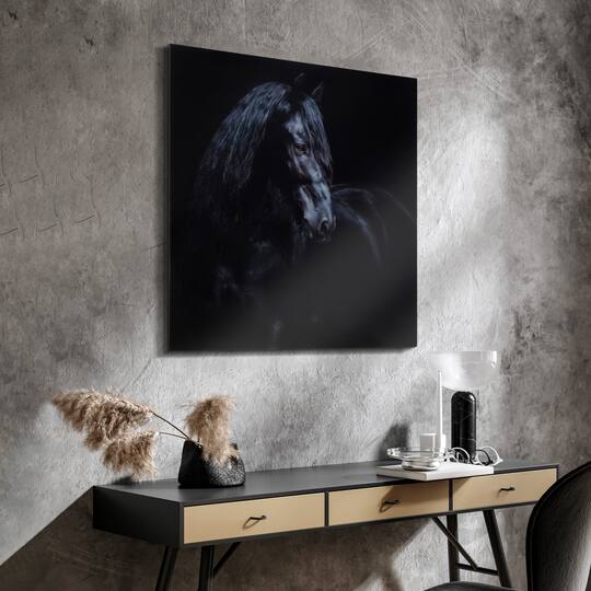 Empire Art Direct 38" x 38" Black Equine Attraction Frameless Printed Tempered Glass Wall Art